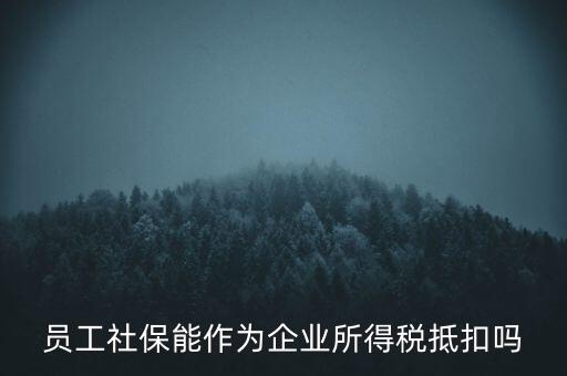 企業(yè)社?？梢缘质裁炊?，員工社保能作為企業(yè)所得稅抵扣嗎