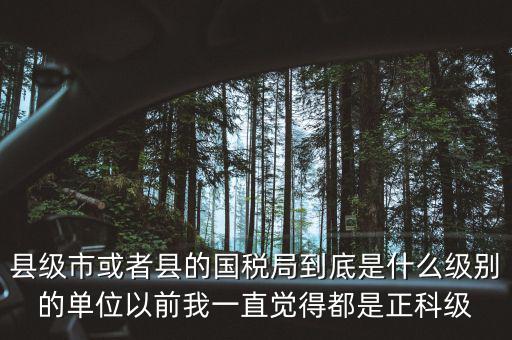 縣國稅局辦稅服務(wù)廳主任是什么級別，縣地稅局辦公室主任是什么行政級別