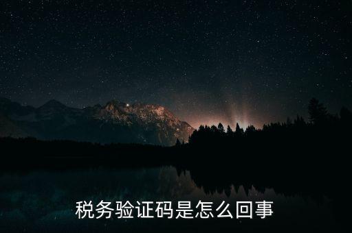 網(wǎng)上稅務(wù)局下載碼是什么意思，湖北省電子稅務(wù)局下載uk驅(qū)動二維碼是什么意思