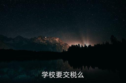 民辦學(xué)校交什么稅，你好我想問問民辦學(xué)?？梢砸髮W(xué)生補課嗎把補課的錢作為必交費