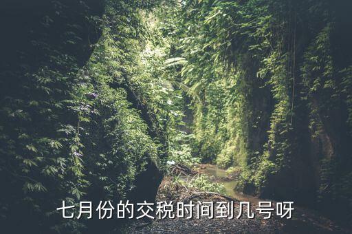 福建地稅7月報稅到什么時候，請問7月份國稅地稅的征期截止到哪天