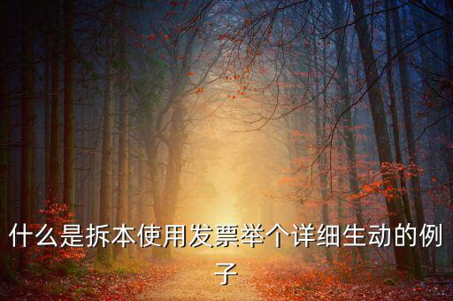 什么是拆本使用發(fā)票舉個(gè)詳細(xì)生動(dòng)的例子