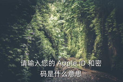 查詢個(gè)稅 密碼是輸入什么，請(qǐng)輸入您的 Apple ID 和密碼是什么意思