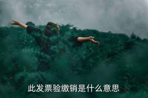 此發(fā)票驗繳銷是什么意思