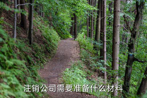 公司注銷帶什么資料嗎，公司銷戶要帶什么資料