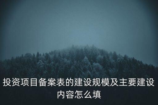 投資項目備案表的建設(shè)規(guī)模及主要建設(shè)內(nèi)容怎么填