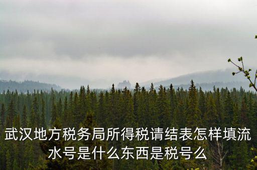 武漢地方稅務局所得稅請結表怎樣填流水號是什么東西是稅號么