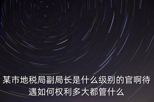 某市地稅局副局長是什么級別的官啊待遇如何權(quán)利多大都管什么