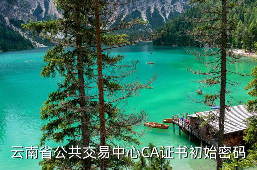 ca證書的原始密碼是什么，云南省公共交易中心CA證書初始密碼