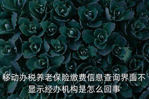 移動辦稅養(yǎng)老保險繳費信息查詢界面不顯示經(jīng)辦機構(gòu)是怎么回事