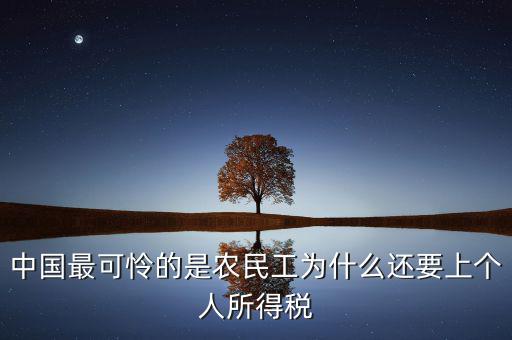 中國最可憐的是農(nóng)民工為什么還要上個人所得稅