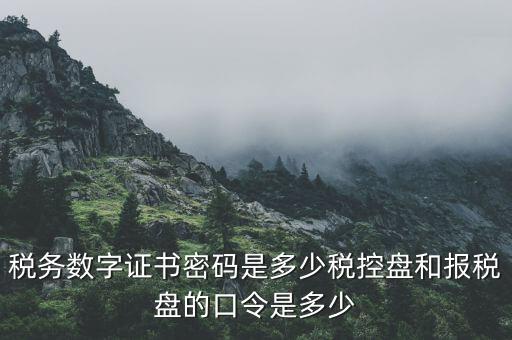 國稅申報ca默認密碼是什么意思，國家稅務(wù)總局網(wǎng)上辦稅服務(wù)廳初始密碼是什么