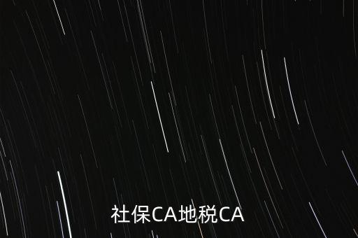 社保CA地稅CA