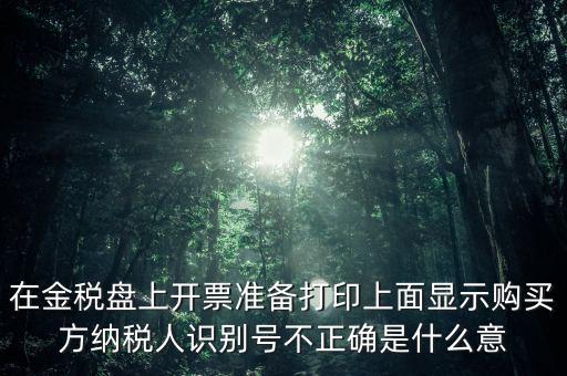 在金稅盤上開票準備打印上面顯示購買方納稅人識別號不正確是什么意