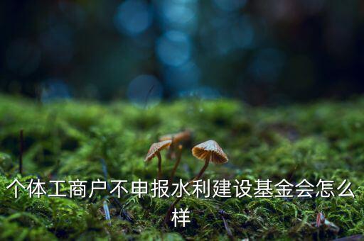 水利基金不報有什么后果，水利建設(shè)基金計稅當(dāng)月沒報有影響嗎