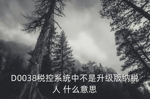 D0038稅控系統(tǒng)中不是升級版納稅人 什么意思