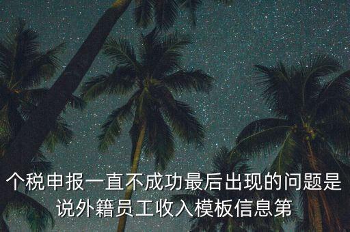 個(gè)稅申報(bào)一直不成功最后出現(xiàn)的問題是說外籍員工收入模板信息第