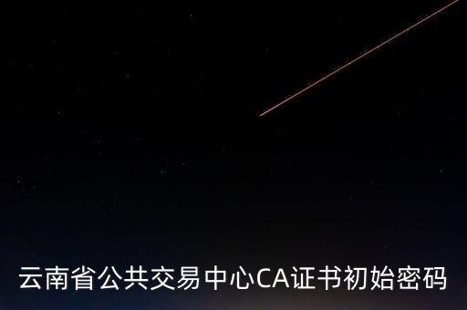 ca原始密碼登錄是什么，蘇州投標(biāo)ca初始密碼