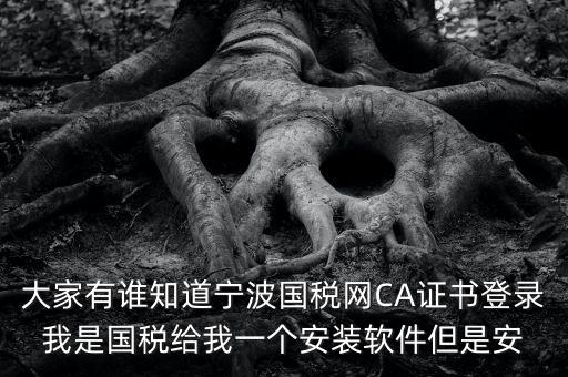 大家有誰知道寧波國稅網(wǎng)CA證書登錄我是國稅給我一個安裝軟件但是安