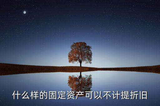 什么樣的固定資產(chǎn)可以不計(jì)提折舊