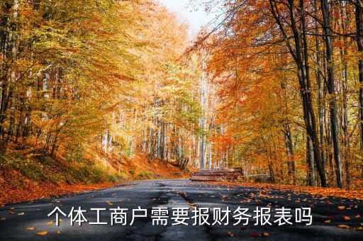 個體戶都需要申報什么表，個體工商戶需要報財務(wù)報表嗎