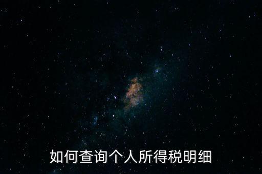 如何查詢個人所得稅明細