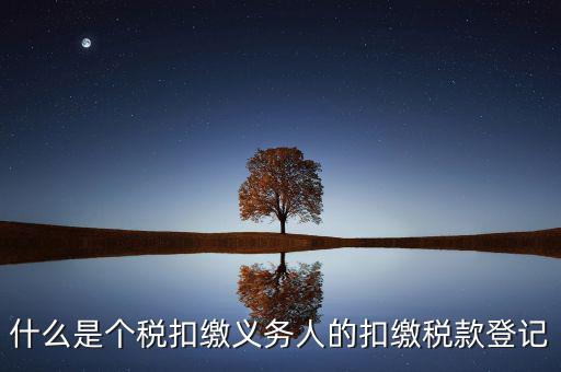 什么是個稅扣繳義務(wù)人的扣繳稅款登記