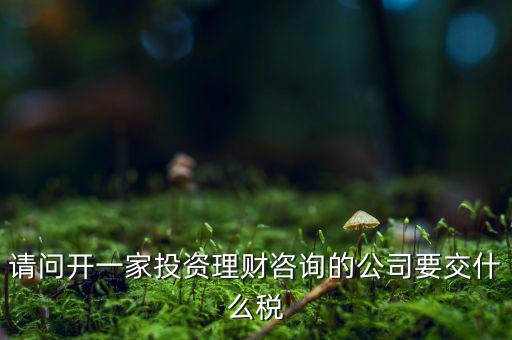 請問開一家投資理財咨詢的公司要交什么稅