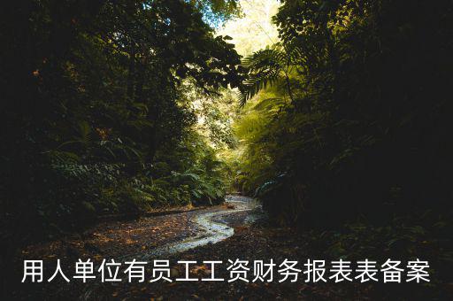 財(cái)務(wù)備案是什么意思，備案是什么意思