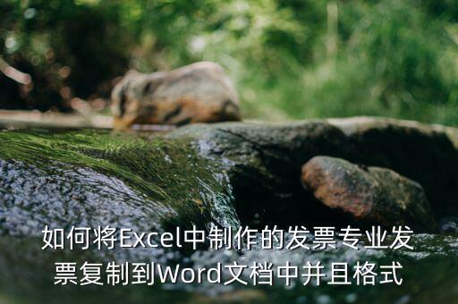 如何將Excel中制作的發(fā)票專業(yè)發(fā)票復(fù)制到Word文檔中并且格式