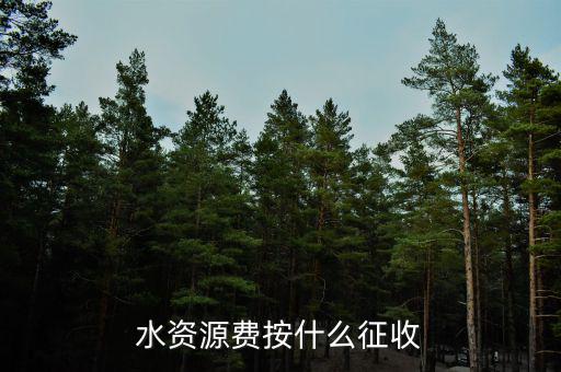 水資源稅實(shí)行什么征收，水資源費(fèi)按什么征收