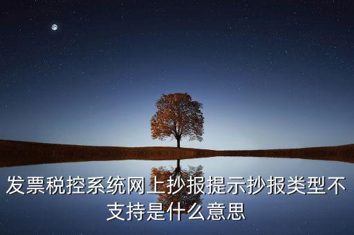 什么是金稅盤(pán)底層，報(bào)稅軟件登錄 顯示未檢測(cè)到企業(yè)公鑰什么原因