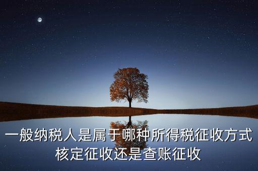 一般納稅人屬于什么，什么是一般納稅人