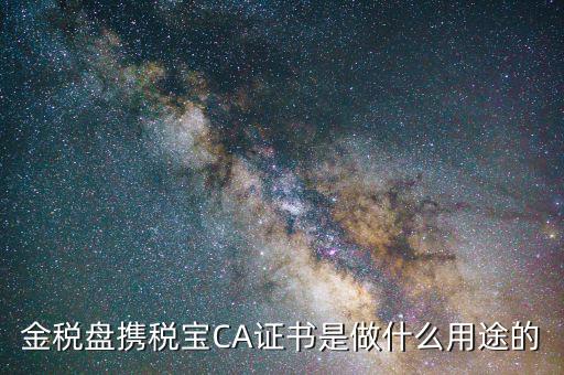 金稅盤攜稅寶CA證書是做什么用途的