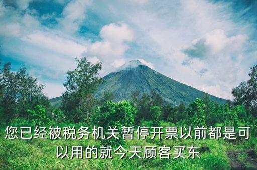 您已經(jīng)被稅務機關暫停開票以前都是可以用的就今天顧客買東