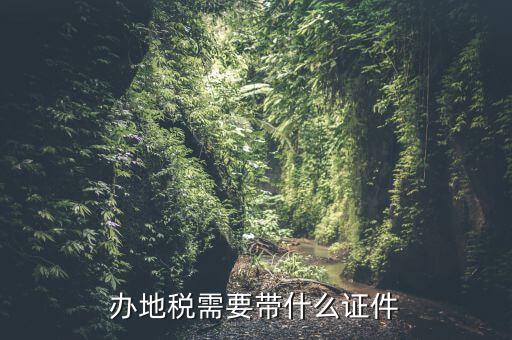 國(guó)稅地稅證件什么手續(xù)，辦理國(guó)稅地稅需要那些手續(xù)