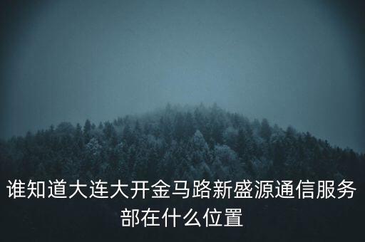 信息服務(wù)部可以叫什么地方，誰知道大連大開金馬路新盛源通信服務(wù)部在什么位置