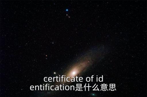 certificate of identification是什么意思