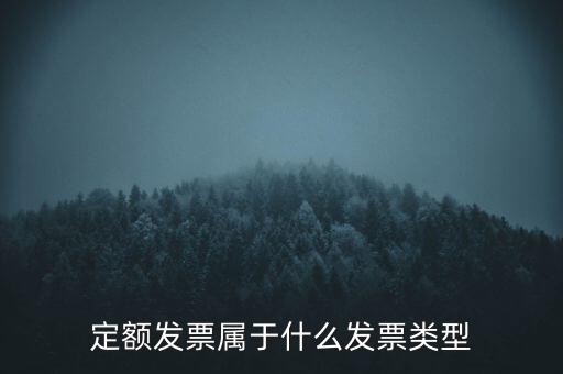 定額發(fā)票什么，河南省地稅定額發(fā)票怎么查詢