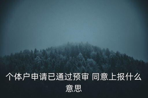 個(gè)體戶申請(qǐng)已通過(guò)預(yù)審 同意上報(bào)什么意思