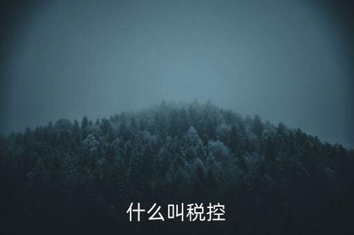 什么叫稅控