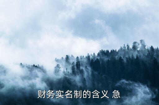 稅務(wù)實(shí)名制是什么意思，財(cái)務(wù)實(shí)名制的含義 急