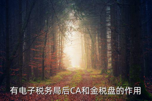 電子稅務(wù)局有什么用，有電子稅務(wù)局后CA和金稅盤的作用