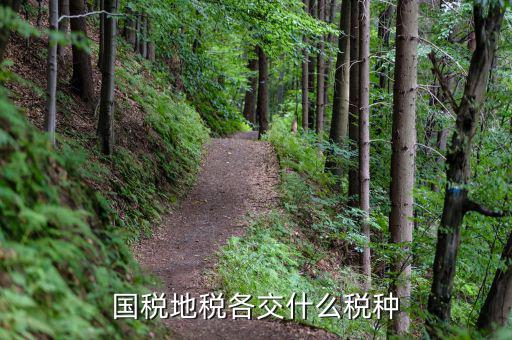 國(guó)稅和地稅分別交什么稅，國(guó)稅和地稅分別交哪些稅