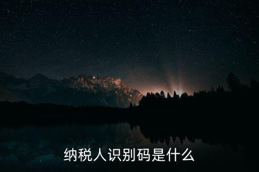 網(wǎng)上報(bào)稅納稅人識別碼是什么，納稅人識別碼是什么