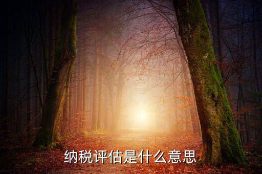 納稅評(píng)估是什么意思