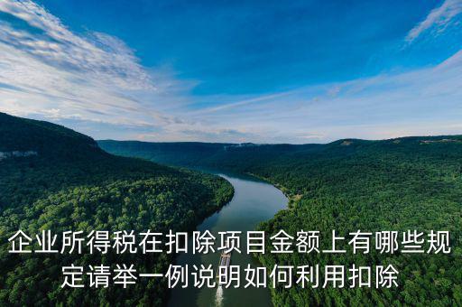 扣除項目金額是什么，應稅服務扣除項目清單中允許扣除項目金額指的是什么是總