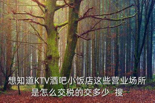 ktv交納什么稅，想知道KTV酒吧小飯店這些營業(yè)場(chǎng)所是怎么交稅的交多少  搜