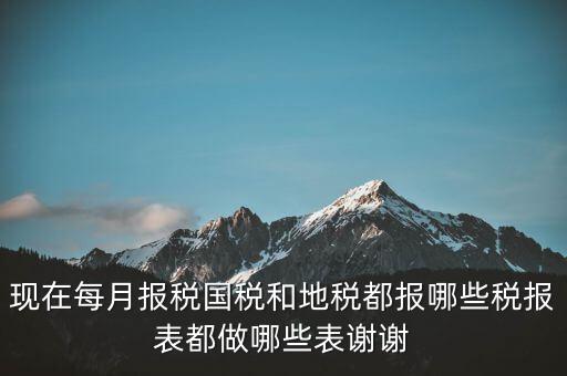 國稅報什么，現(xiàn)在每月報稅國稅和地稅都報哪些稅報表都做哪些表謝謝