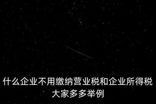 什么企業(yè)不用繳納營業(yè)稅和企業(yè)所得稅大家多多舉例